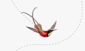 投稿についてもっと詳しく テスト